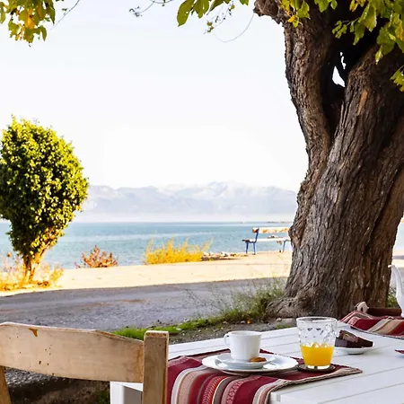 Beachfront Serenity - Petalidi's Moorea Gem
